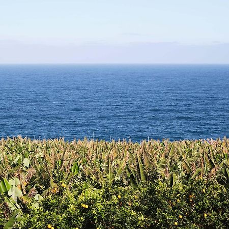 El Convento II Tranquilidad Y Vistas Unicas Daire San Andres  Dış mekan fotoğraf